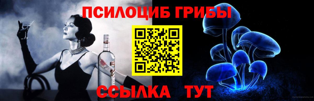 Псилоцибиновые грибы MAGIC MUSHROOMS  Вход с VPN  Истра 